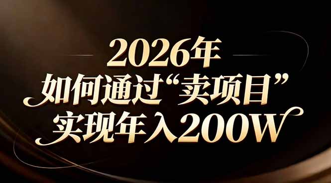 站在2026年的十字路口：一个普通人如何通过卖项目实现年入200万-领星网创资源站