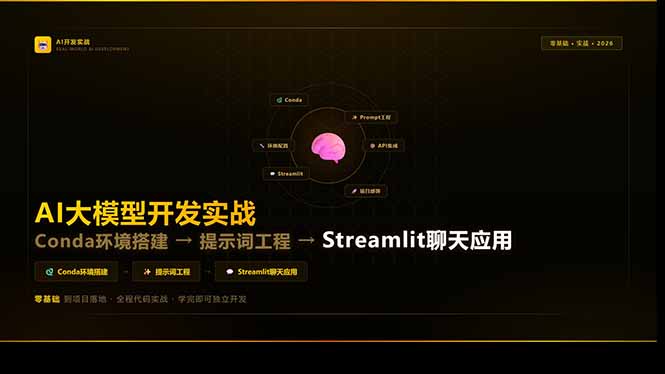 AI大模型开发实战：Conda环境搭建→提示词工程→Streamlit聊天应用，零基础到项目落地-领星网创资源站