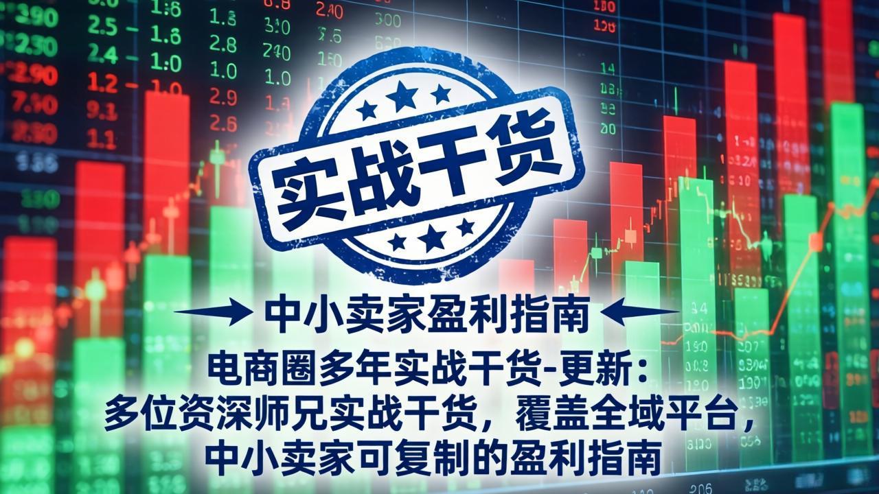 电商圈多年实战干货-更新4月27：多位资深师兄实战干货/覆盖全域平台，中小卖家可复制的盈利指南-领星网创资源站