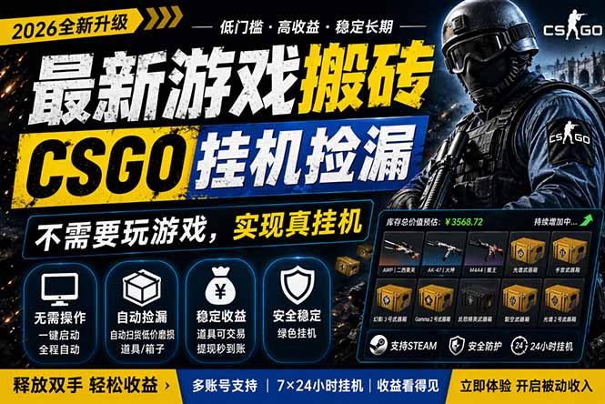 最新游戏搬砖，CSGO纯挂机，不需要玩游戏，实现真挂机，月入1W+，五一小高峰上车可吃肉，…-领星网创资源站