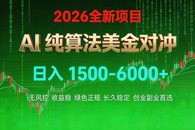 2026 全新美金对冲项目，不套平台赠金，不封号，纯算法对冲，日入 1500-6000+-领星网创资源站