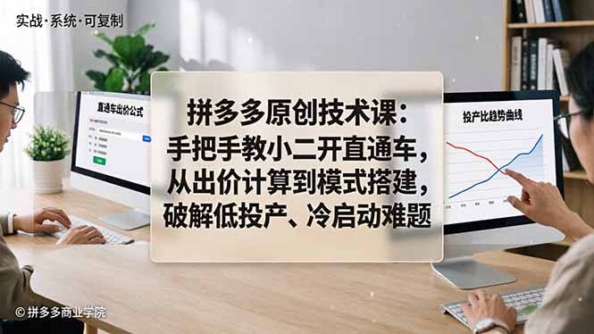 拼多多原创技术课：手把手教小二开直通车，从出价计算到模式搭建，破解低投产、冷启动难题-领星网创资源站