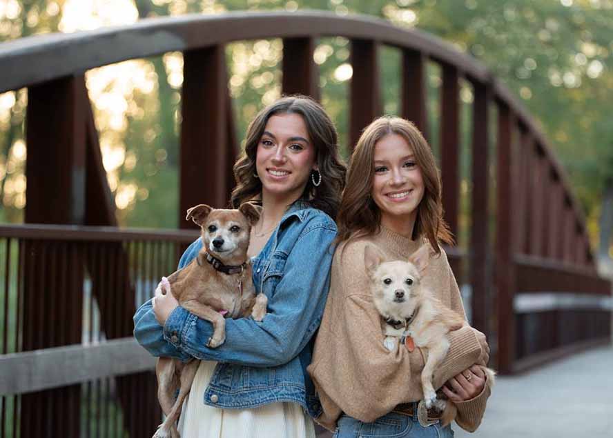 图片[1]-大师级GTG出品-老友记系列AI自适应预设The Friends Preset Collection-领星网创资源站