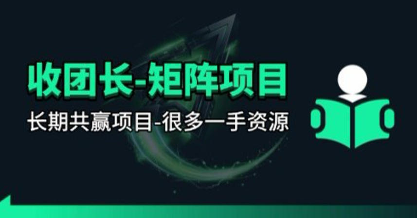 【团长合作】视频矩阵项目_招发手矩阵+剪辑师，共赢项目【揭秘】-领星网创资源站