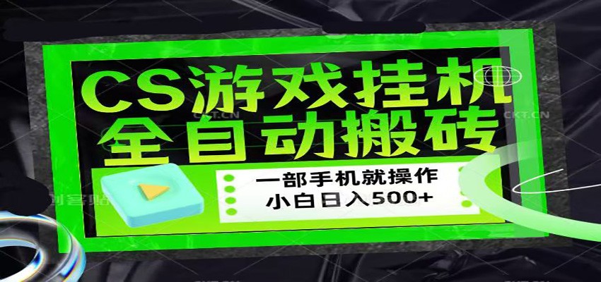 CSGO游戏挂机捡漏搬砖，超稳定的项目，带领1000+小白实现日入500+-领星网创资源站