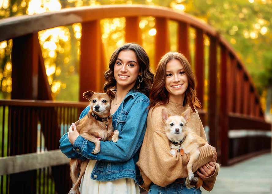 图片[2]-大师级GTG出品-老友记系列AI自适应预设The Friends Preset Collection-领星网创资源站